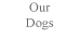 OurDogs
